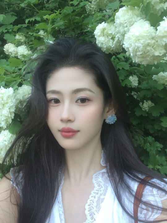 北师大你有如此伟大的绣球花