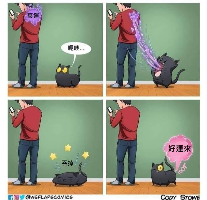 猫好 ​​​