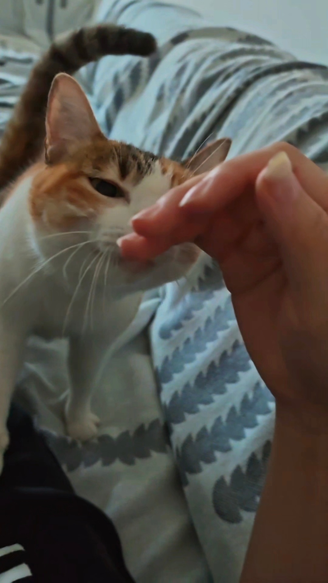 咪！ 