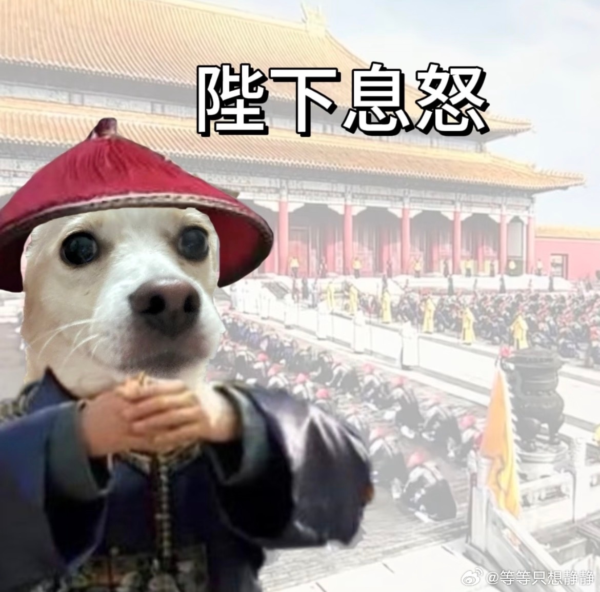 一天到晚净嗻了 