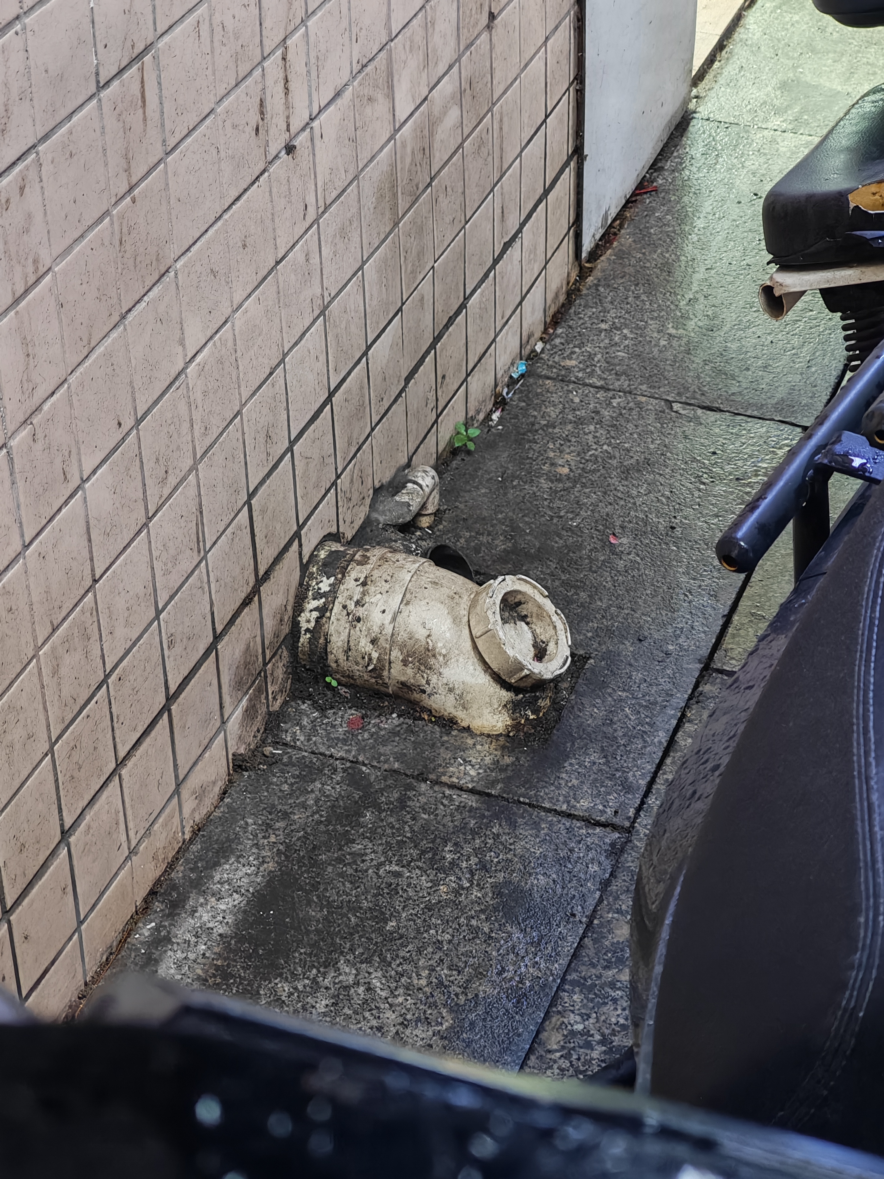 近视眼以为躲了一只可怜猫在这暴雨的深圳我都想好要养了  ​​​