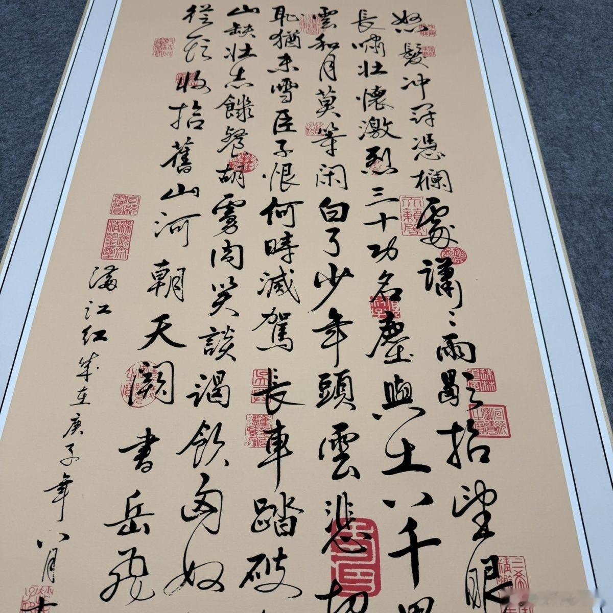 投行泰山的2026年百本纸质书阅读计划 No.053《岳飞——鹏举的忠魂》（廖炳