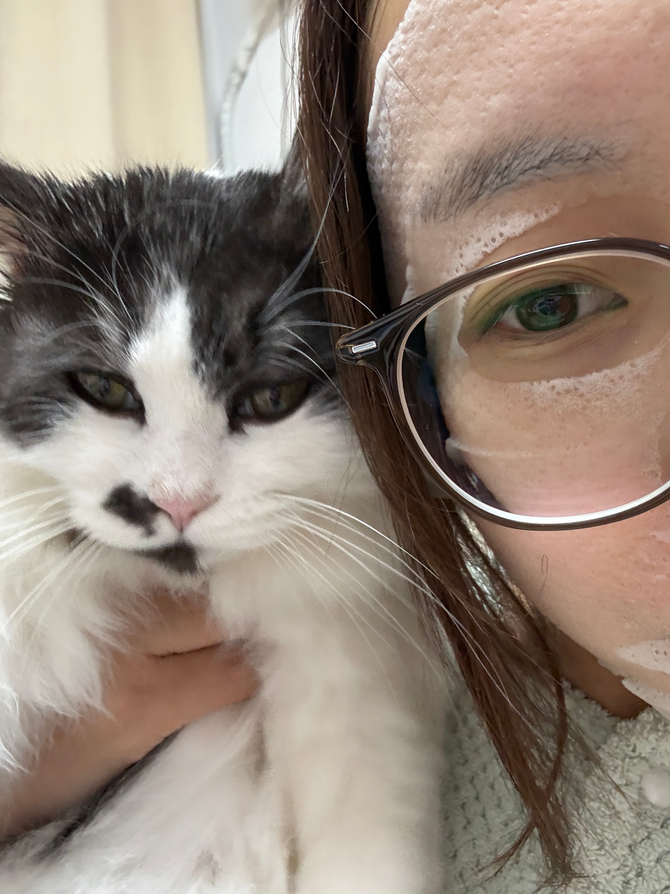 不撕逼 不吵架 不恋爱 不社交 专心经营自己的呆萌生活 ​​​