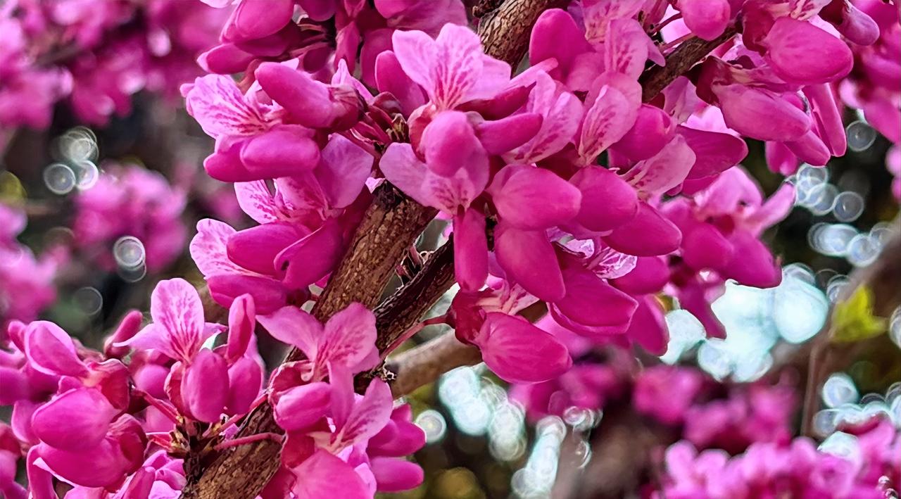 我当了几十年的老师。

说心里话，因为喜欢，我一直觉得这份职业还可以。

可我儿