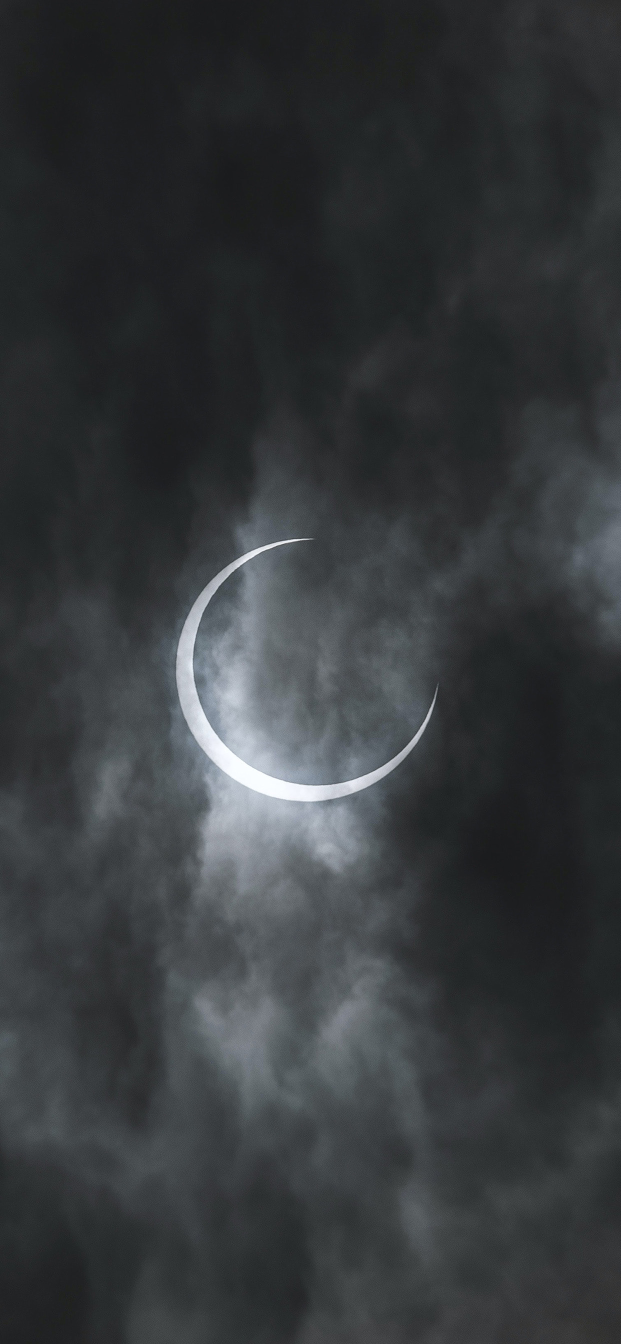 月亮🌙 
