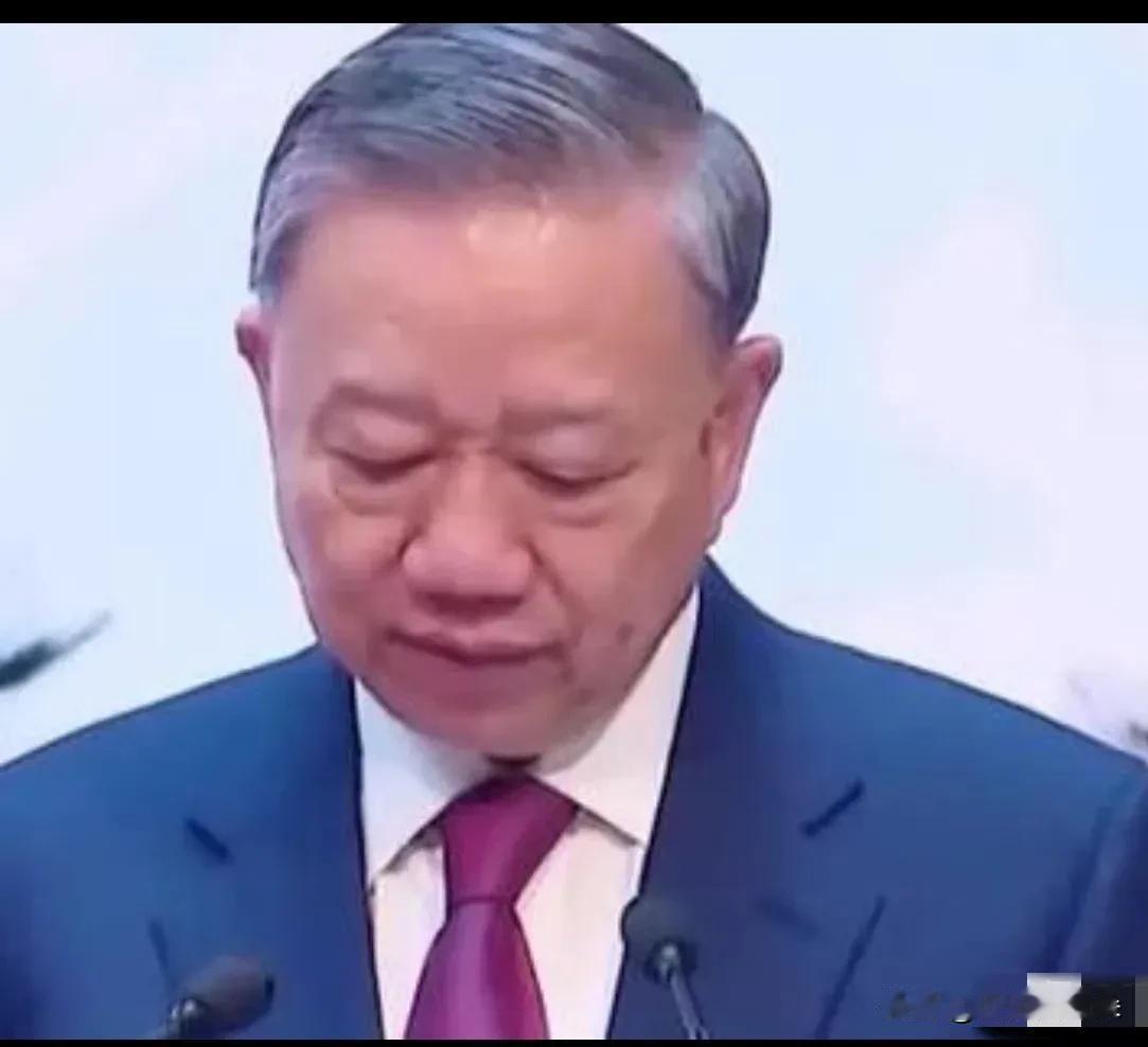 越南的高铁梦，

这次算是彻底醒了。

Vingroup两手一摊不干了，这事儿其