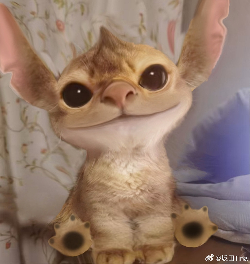 把朋友的猫p成了史迪奇 ​​​