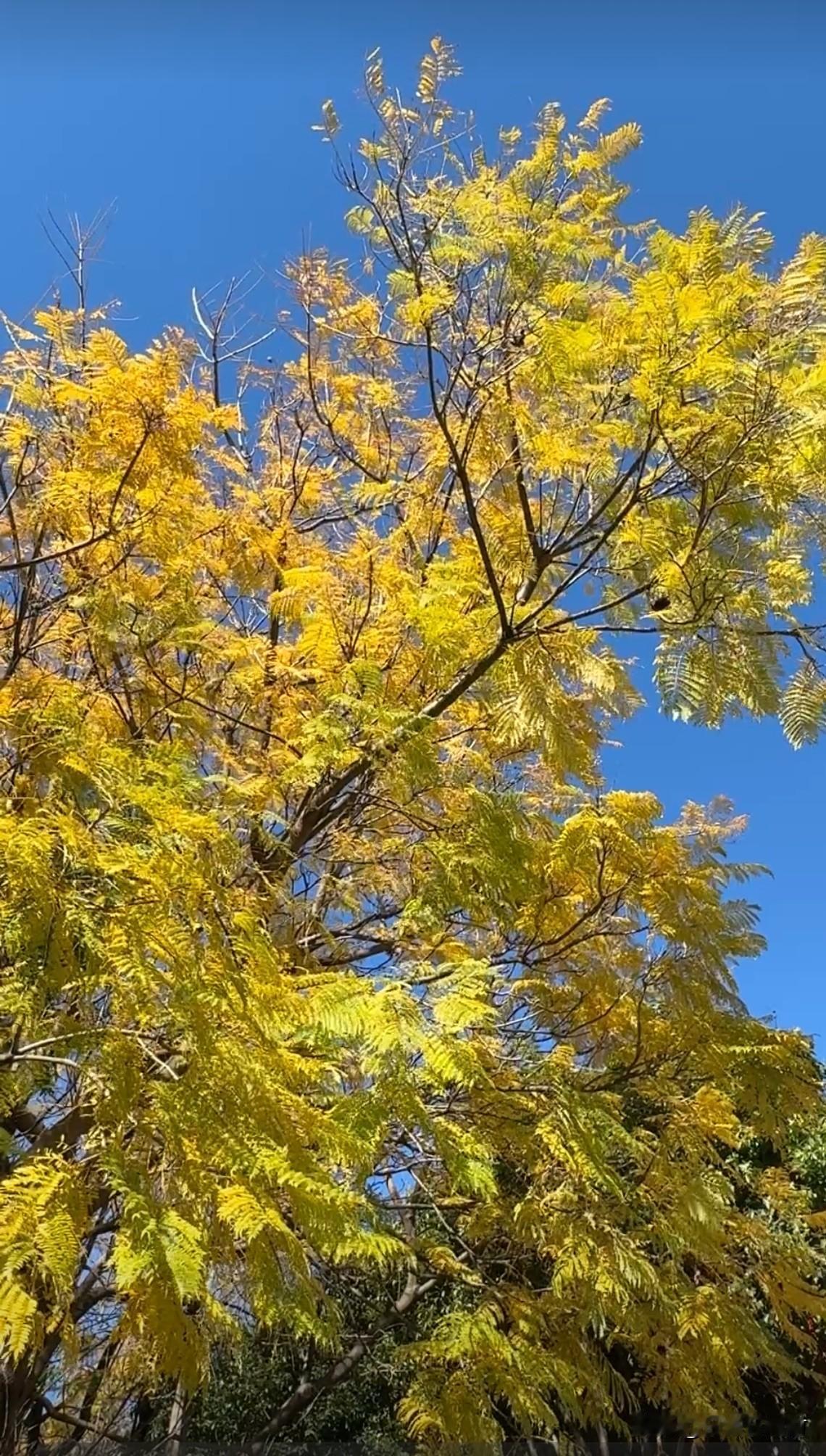 竟然还有几天就过年了，现在的状态是不想收拾，只想一个人安静的待着。

过了50岁