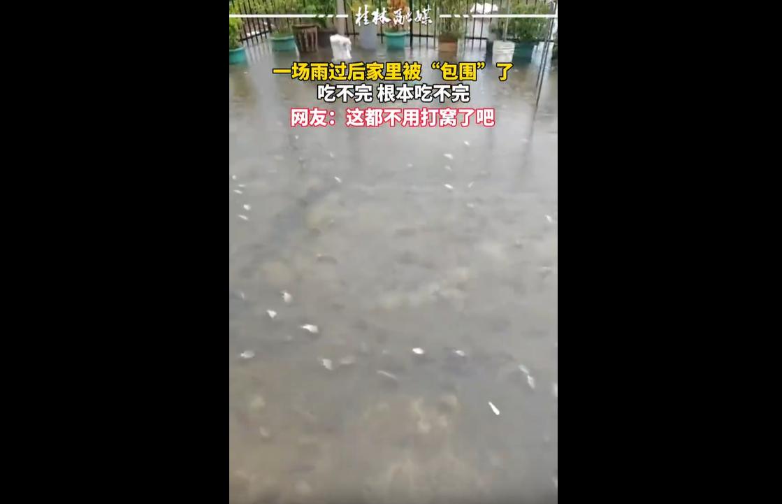 6月14日，广东多地遭遇强降雨，极端雨水天气引发城市内涝。暴涨的雨水冲漫周边鱼塘