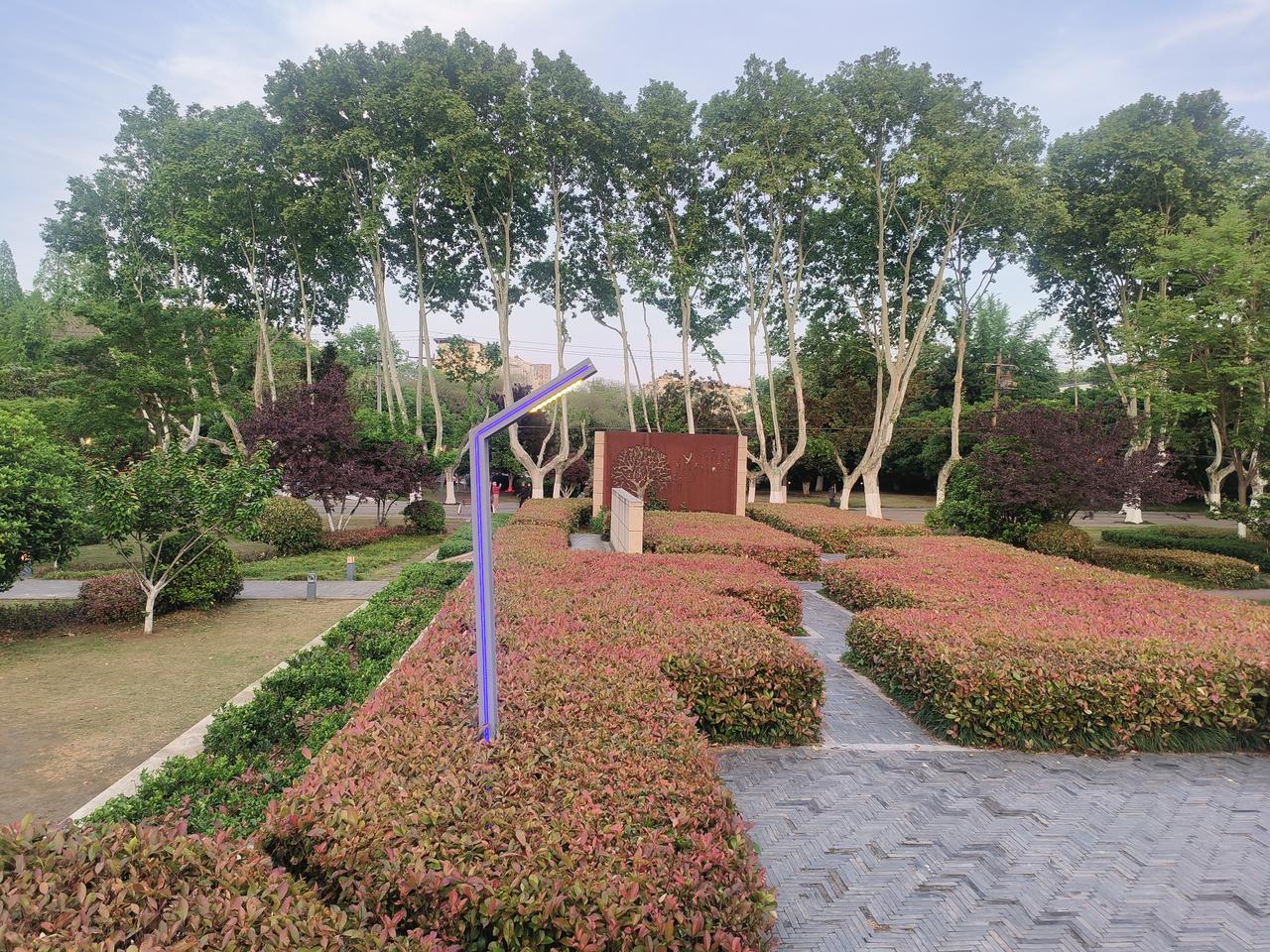 洞山公园里，每天人都很多，特别是下午，有锻炼的，休闲的，人们各自进行喜爱的活动，