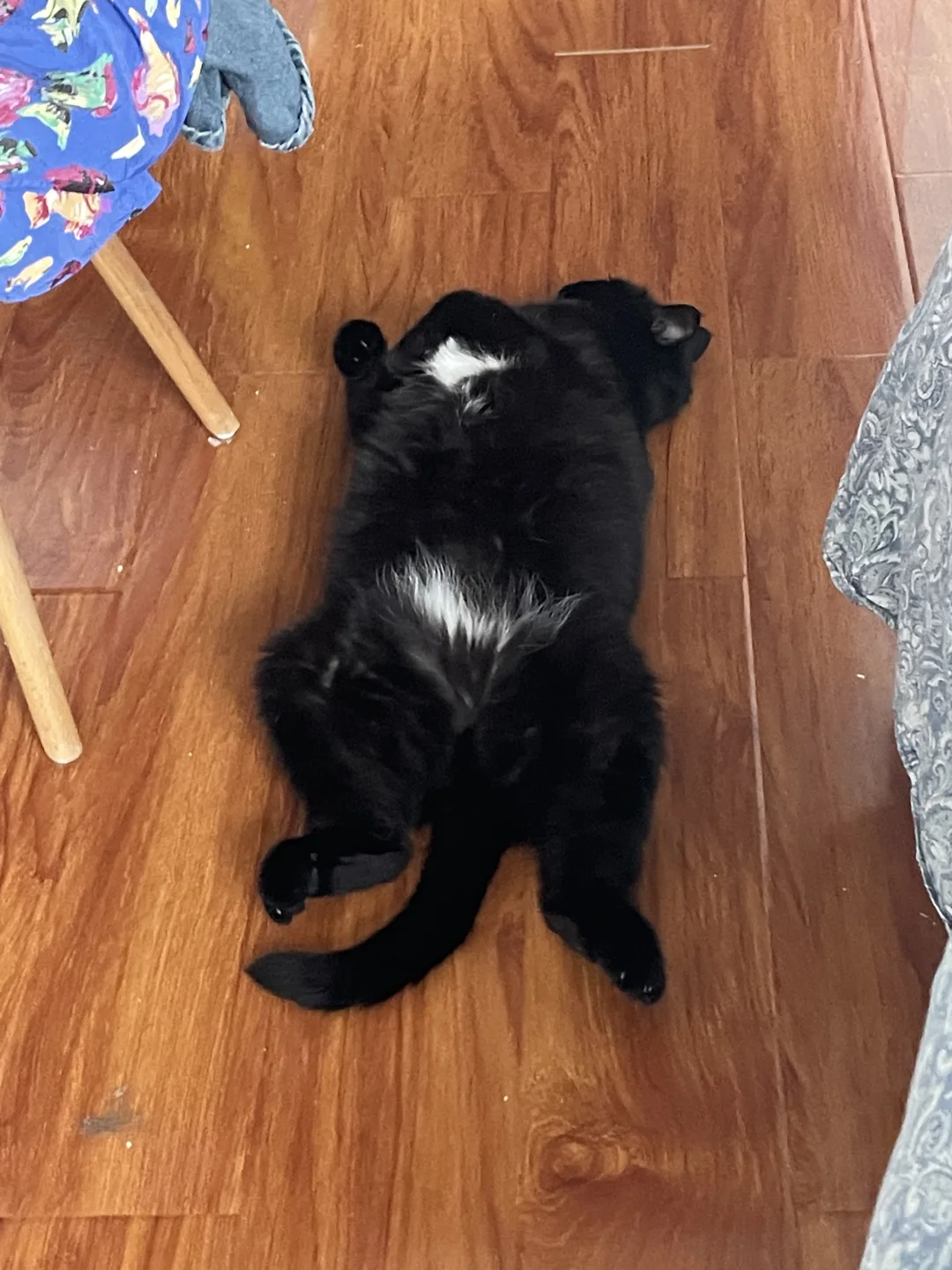 你好，人行通道不让停黑色大卡车 🚗