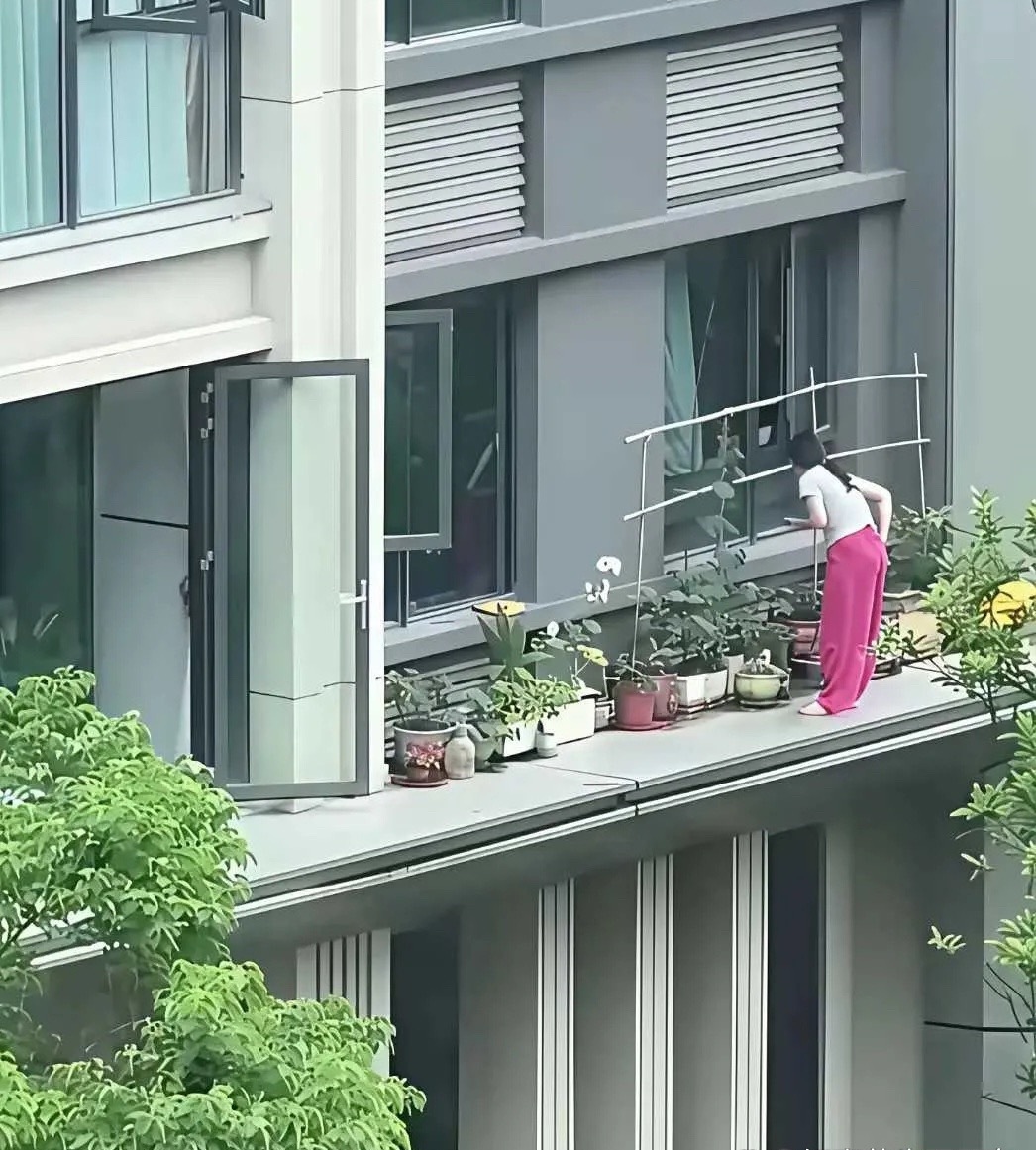 房子的价值都在她一人身上了 