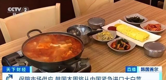 “中国要被我们拖垮了！”2024年，韩国上千人拒绝吃从中国进口的中国白菜，本想给