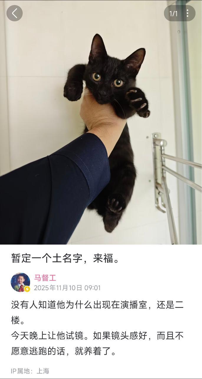 新高超服役了！[哆啦A梦吃惊] ​​​