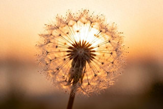 早安在漫长的人生旅途中，没有什么比相信自己更重要。只有当你坚信自己，认清现实，持