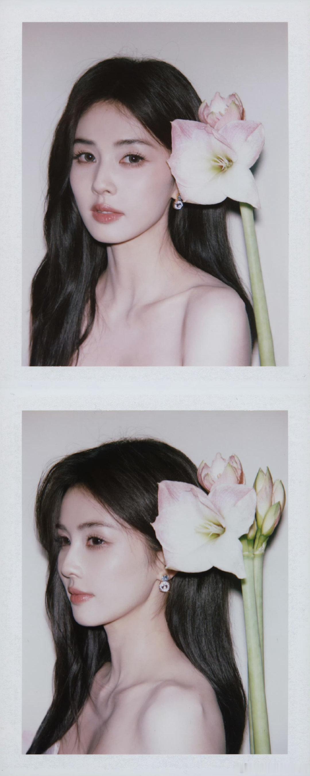 白鹿又一组撕拉片白鹿每一张都美出新高度，撕拉片的颗粒感都挡不住她的神颜，温柔与清
