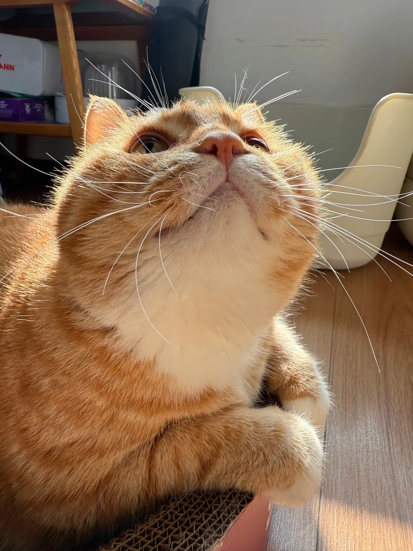 这个孩子变得好稳重。