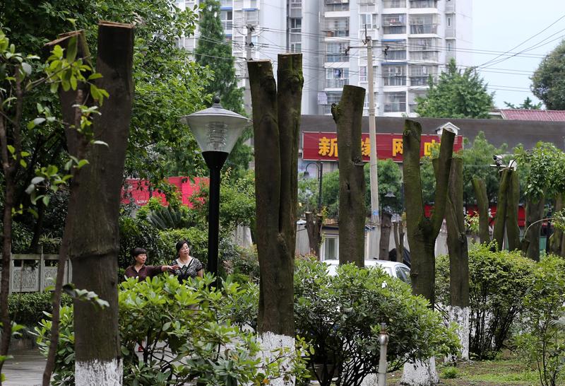 这下瞒不住啦！所有人都知道银行似乎也不那么靠谱了！上海顾女士在建行存了快30年的