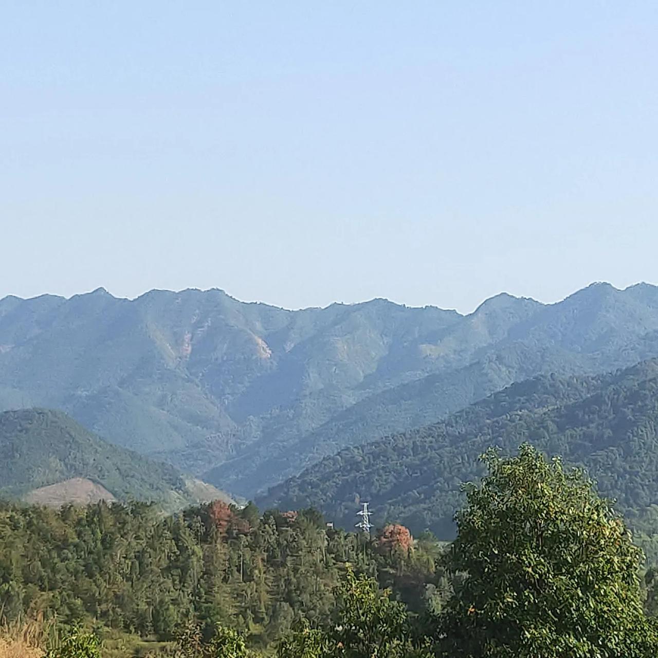 冬日生活打卡季 冬日生活，藏着无数小确幸。清晨阳光洒在脸上，窗台冰花似梦幻画卷，