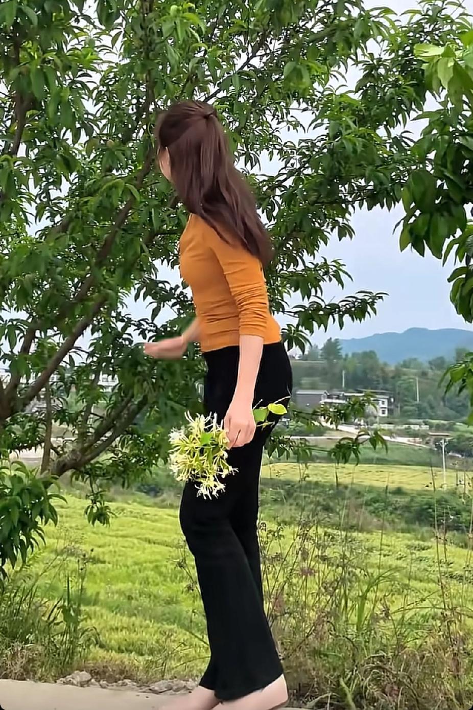 五律·初夏
〔当代〕邹謇

草木知炎威，韶华渐式微。
千花争秀色，万蕊竞芳晖。