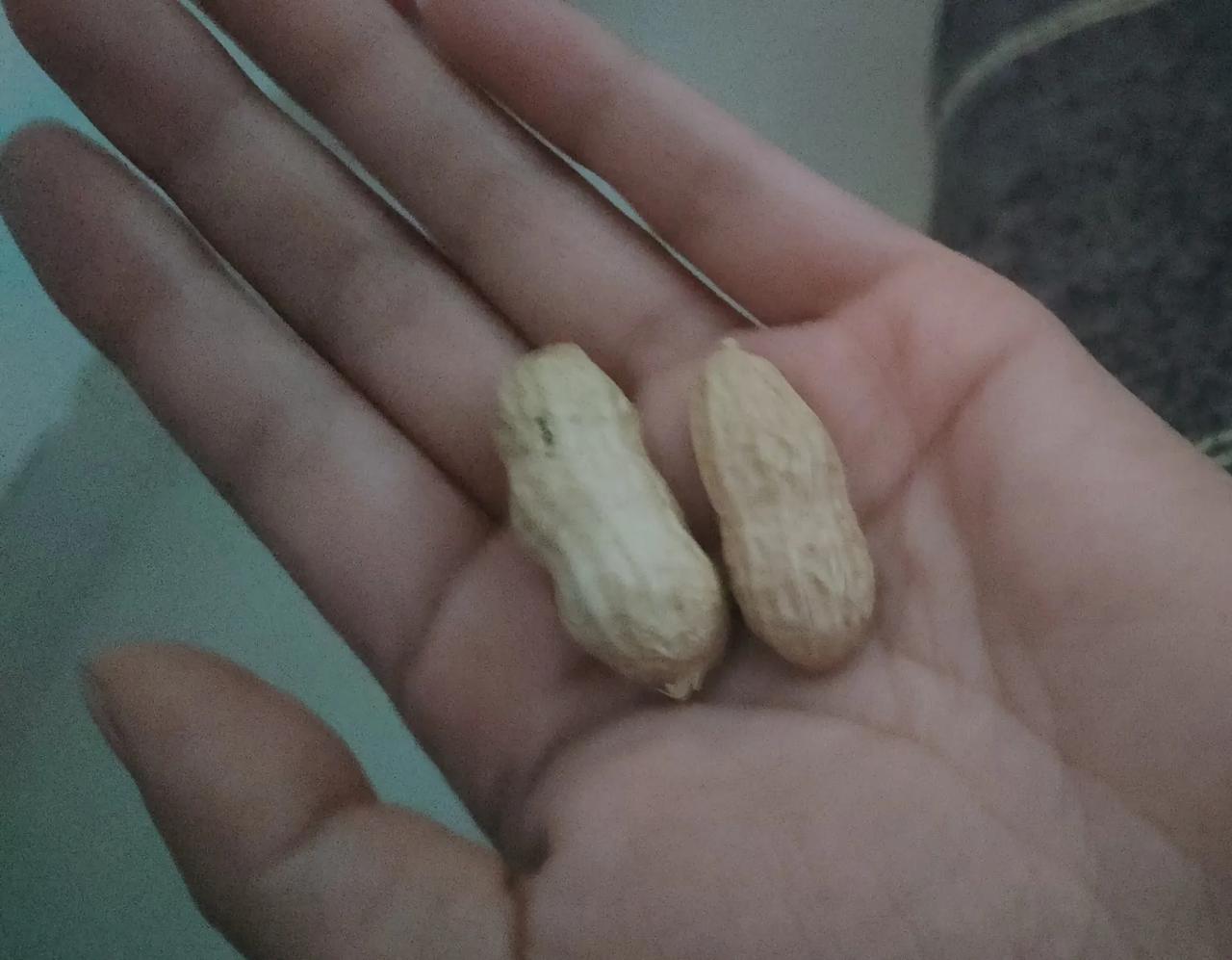 终于发现了一个能缓解胃酸的东西，那就是生花生，平时吃完米饭或者馒头，嘴巴里都是酸