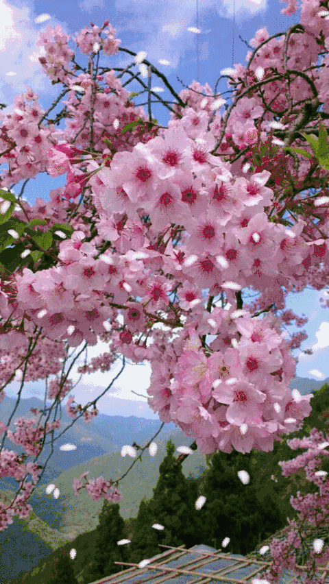 上联，月圆月缺月长明，
下联，花开花落花依艳。