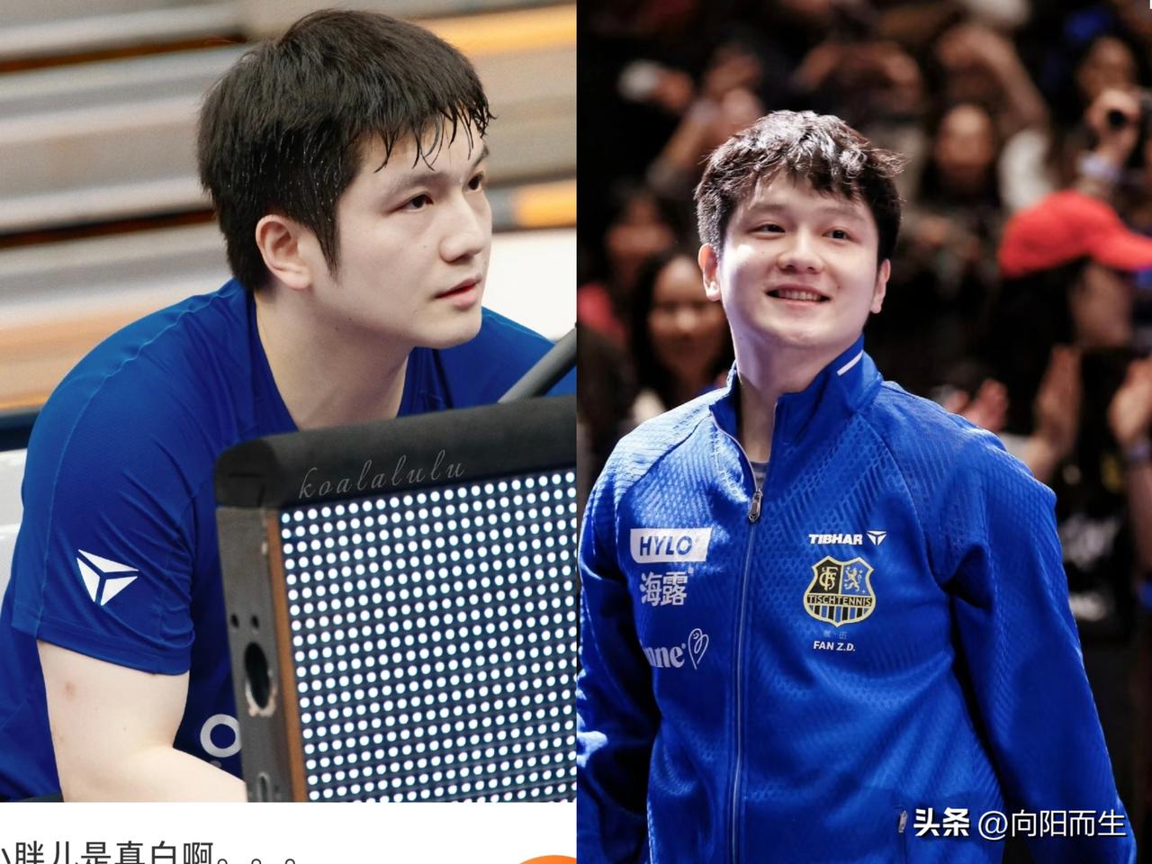 樊振东常年被腰、膝、肩三处老伤困扰，都是高强度比赛和训练累出来的。
长期超负荷参