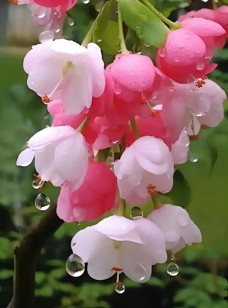 一段让人瞬间释怀的话：
 
当你开始对最亲的人失望，看清他们的局限、固执与不完美