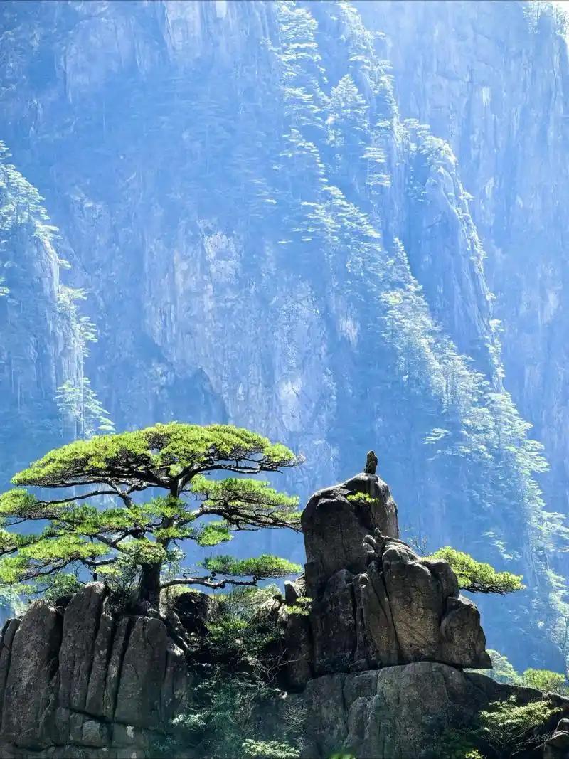 五一出门旅行手机上必备的 15 大软件：

利器一：买票－－铁路12306
利器