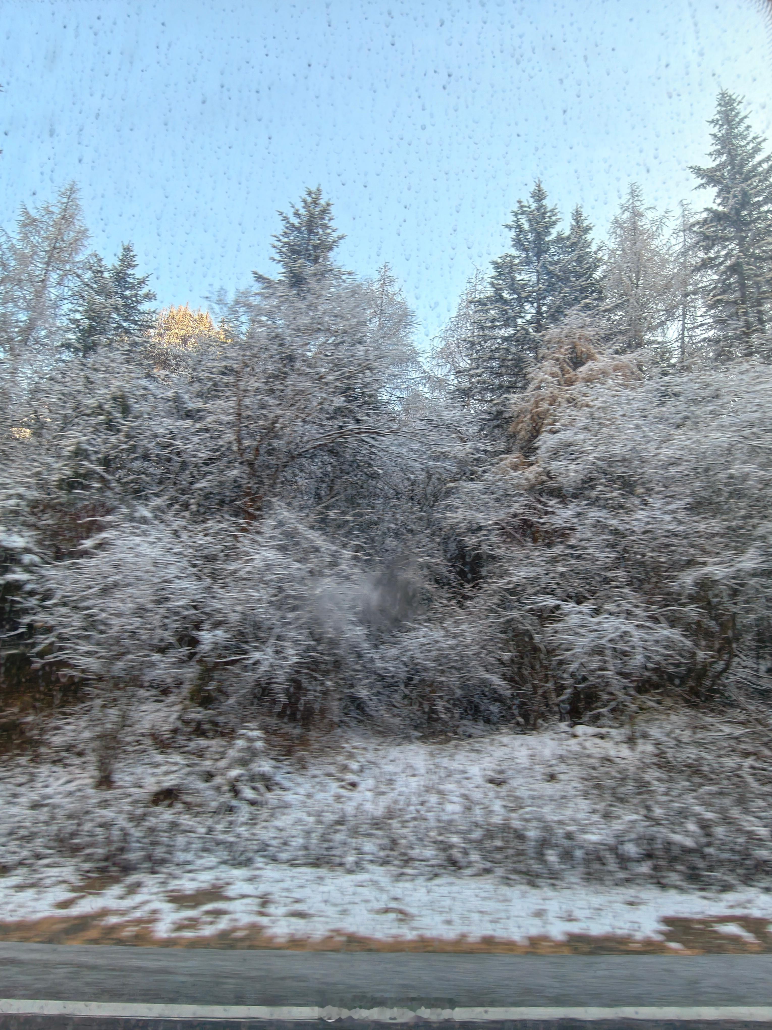 这次看到了九寨的秋景在路上看到了还看到了雪景就是拍不好拍很养眼运气不错 