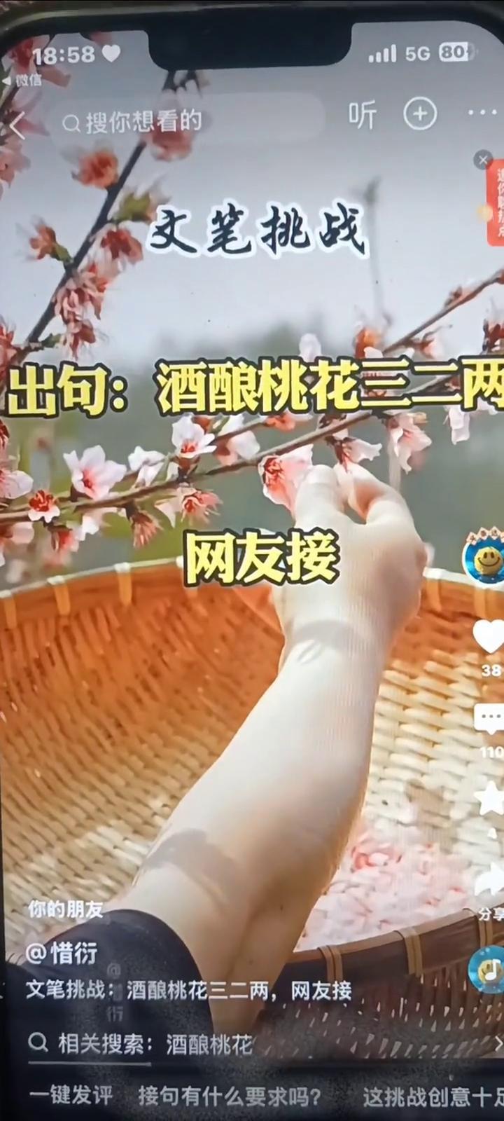 文笔挑战：酒酿桃花三二两，网友接。
一键发评接句有什么要求吗？