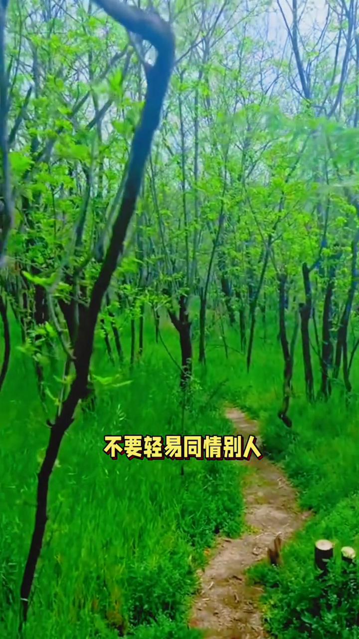 不要轻易同情别人。人有时是一种狠毒的动物，你饶过它，它可不一定饶过你。有些人不可