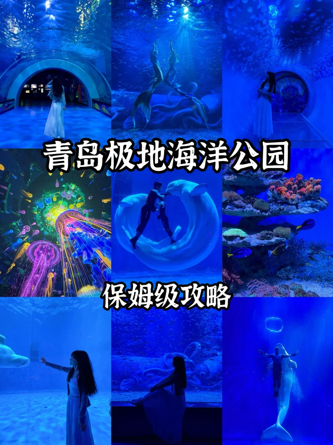 青岛极地海洋公园五一打卡攻略‼️超全焕新版