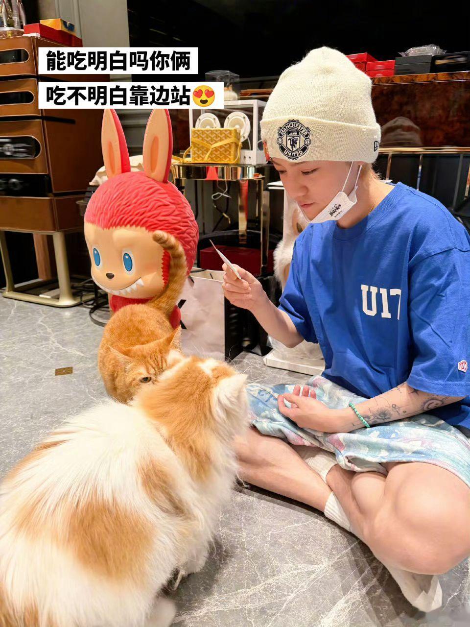 鹿哥家的两辆卡车