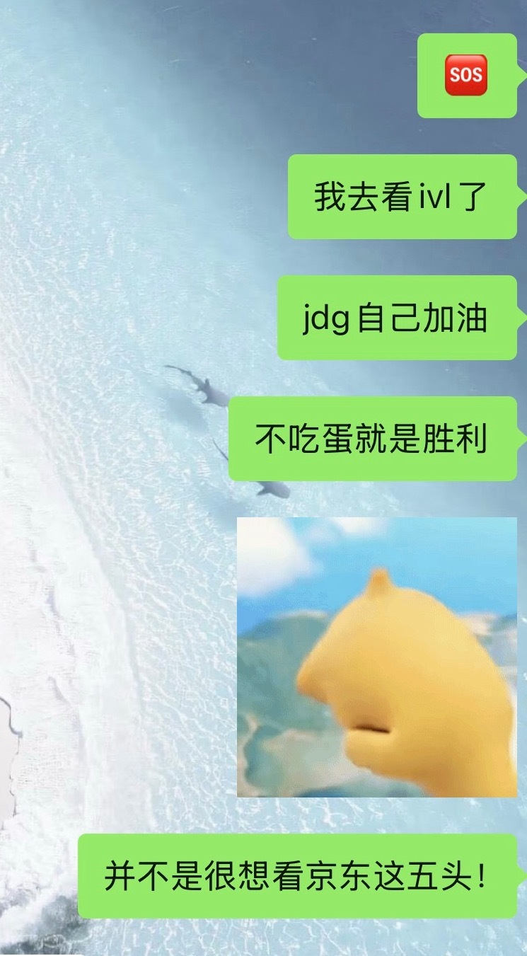猪队自己加油