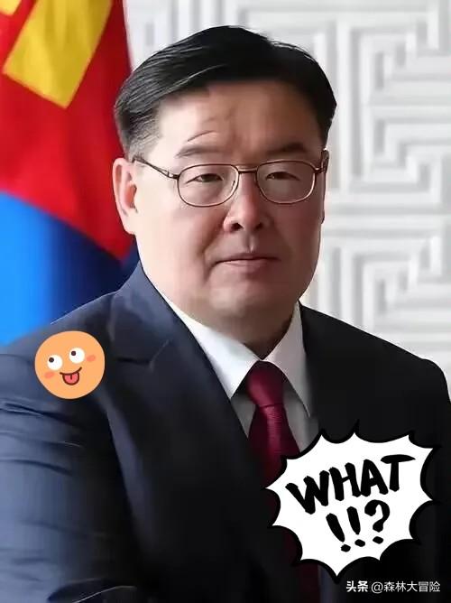不能等，蒙古国总理赞丹沙塔尔辞职了，说白了就是蒙古国亲华派和亲西方派的斗争开始公