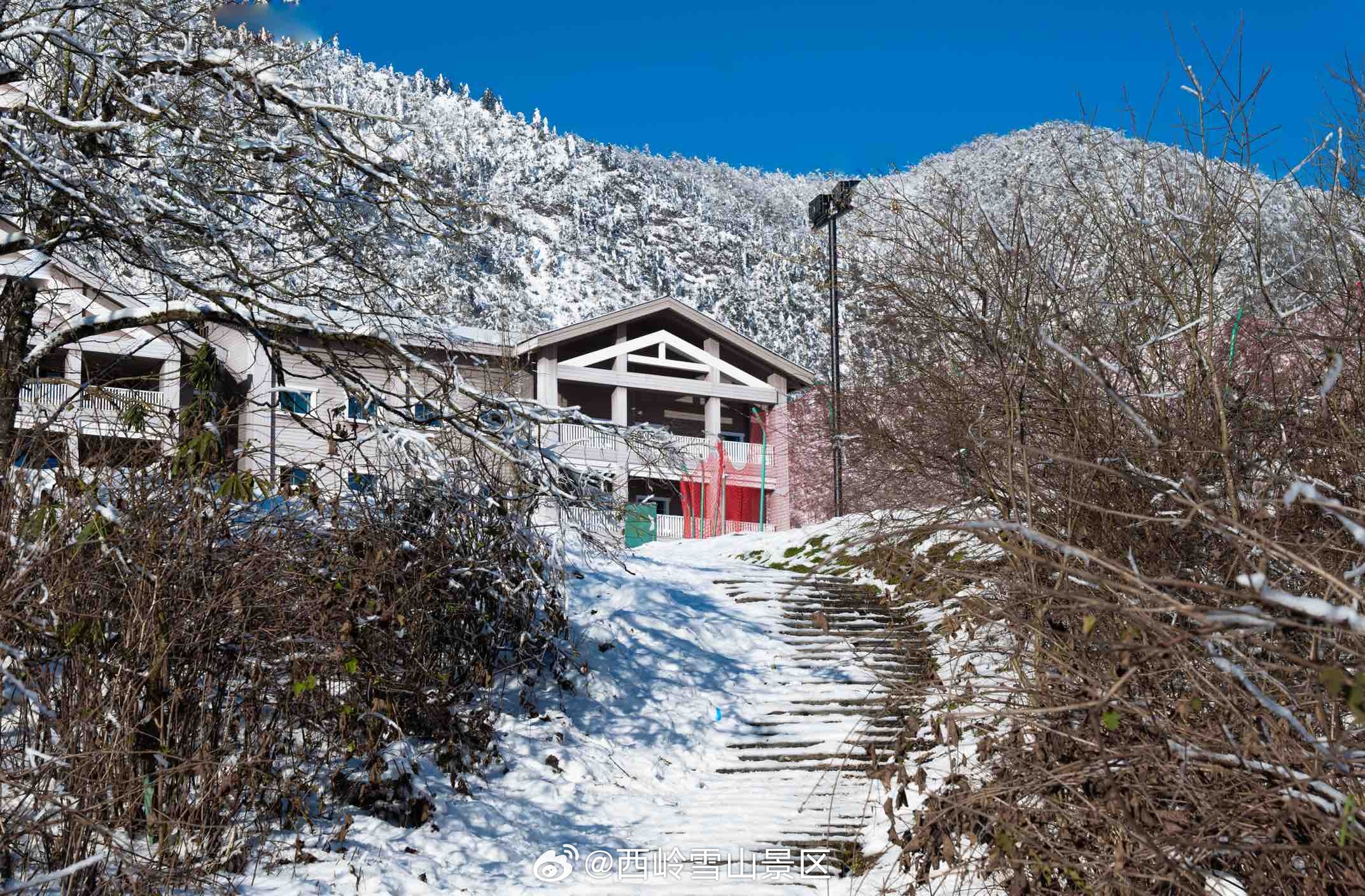 大雪压青松，仍展一片春🌟❄️#冬日美景#西岭雪山 ​​​