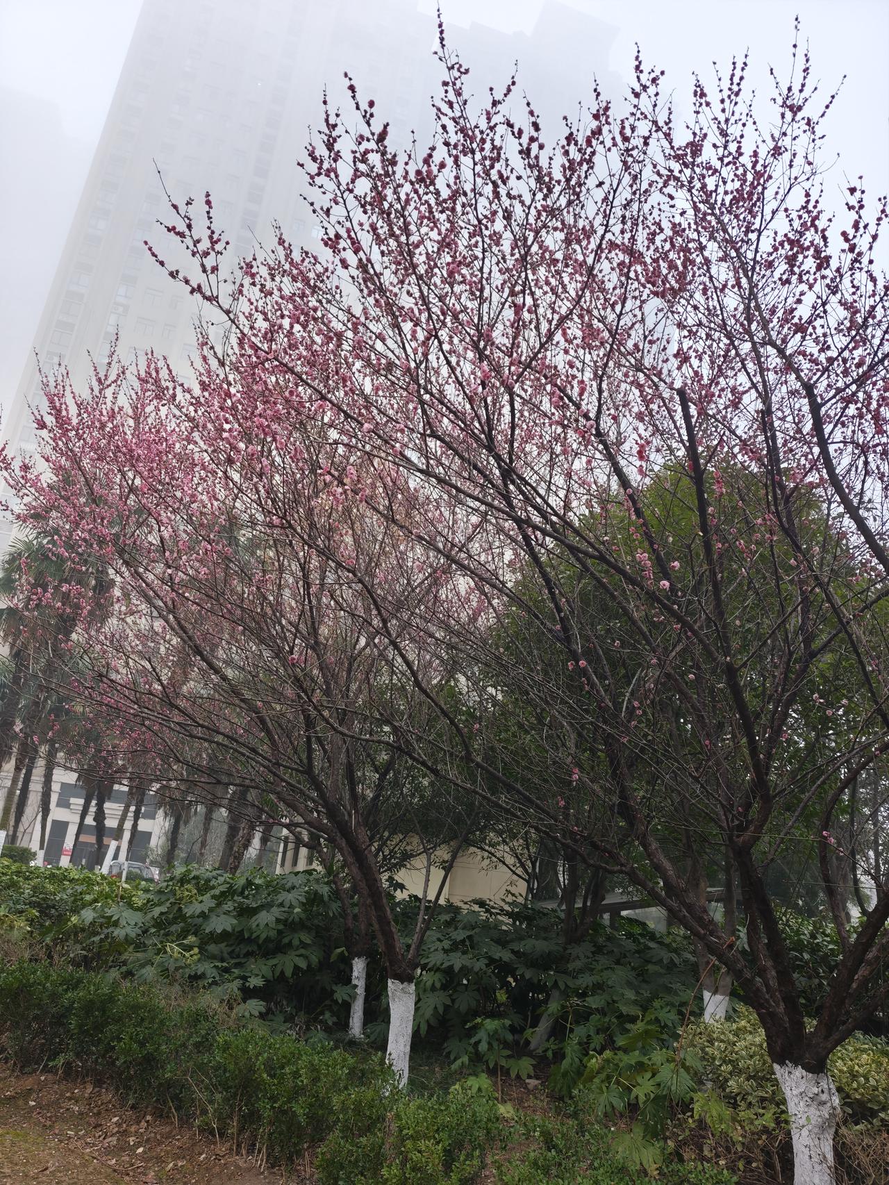 曾经熟悉今陌生，村中许多成故人。当年玩伴多成爷，个个已是岁月脸。