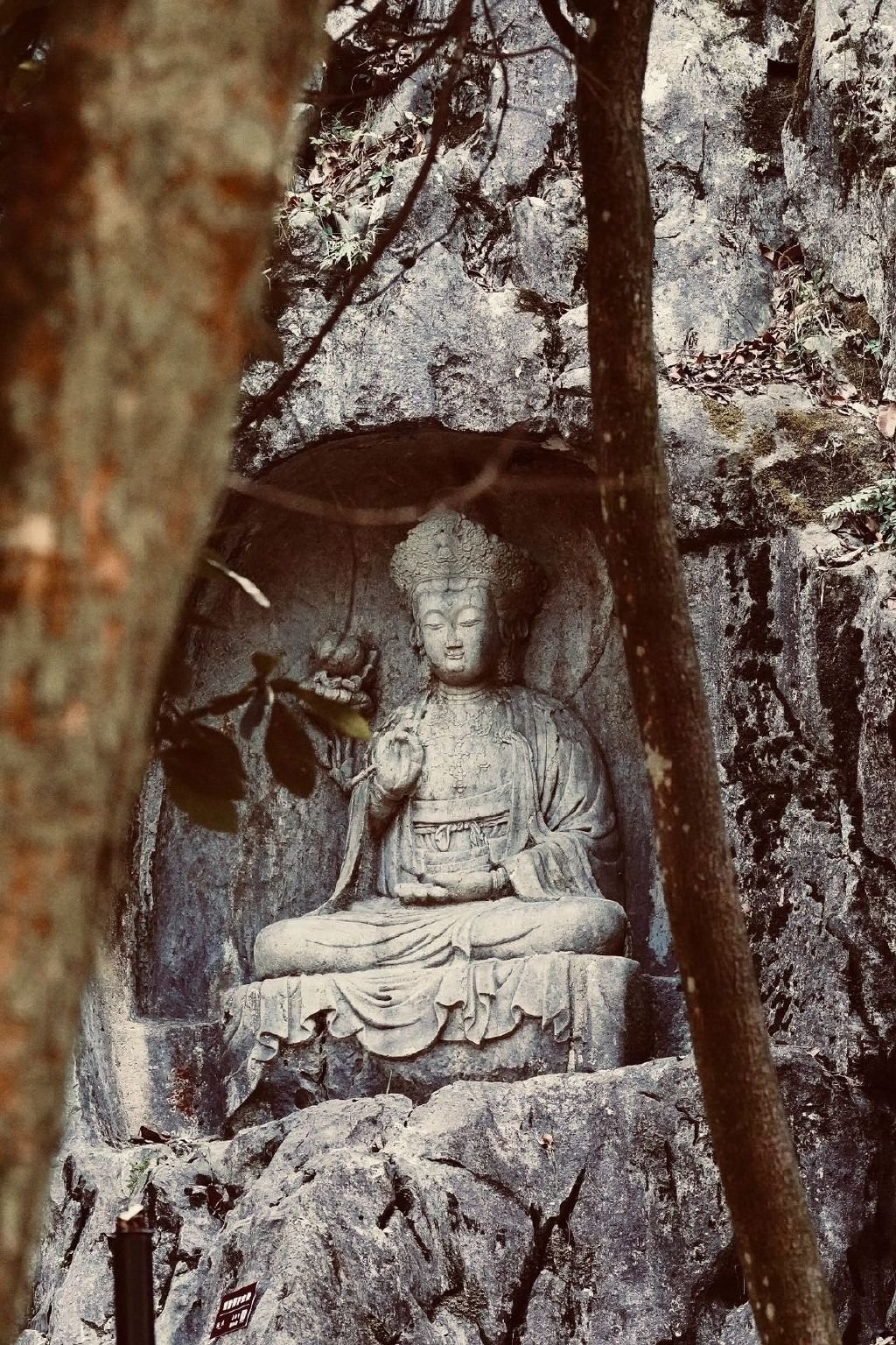 在接下来的你，心想事成，好事不断 