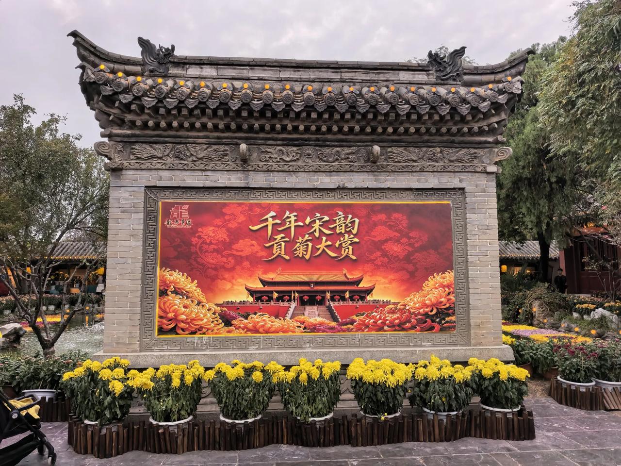 龙亭公园菊花 菊花文化节