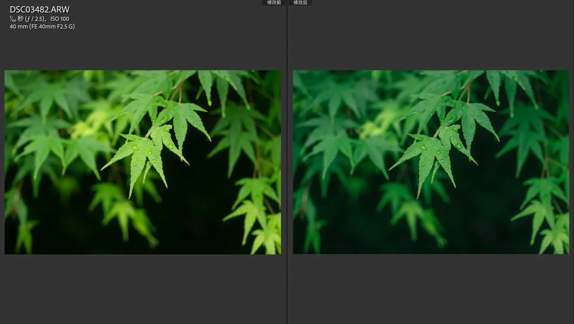 朋友们，摄影到底什么好才是真的好。回复