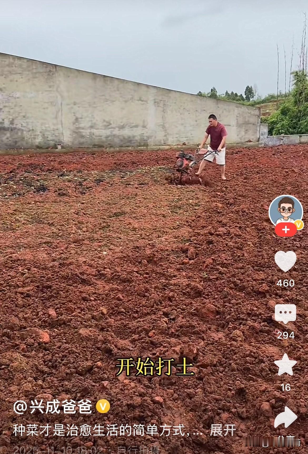 小二娃发布视频试探，检测粉丝反应，伺机复出带货。
“种菜才是治愈生活最简单的方式