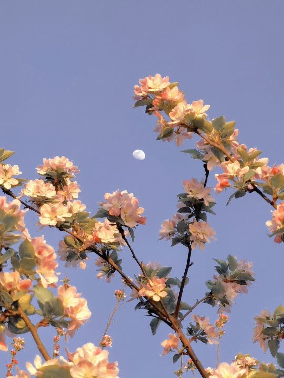 “永远不要去指责一个你并不了解的女人太强势，因为你根本不知道，在她孤立无援、需要