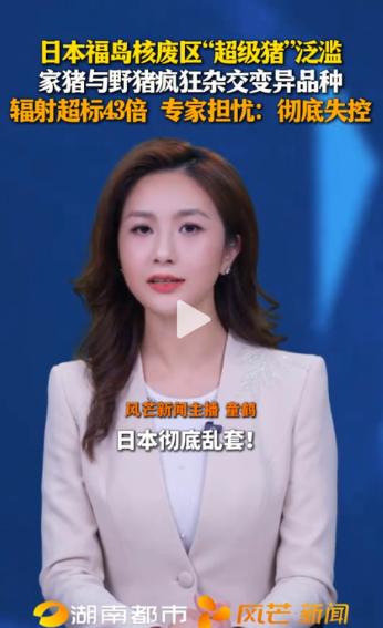 “太吓人了！”日本福岛核废区，杂交野猪数量已突破10万头。体内辐射超标43倍，专