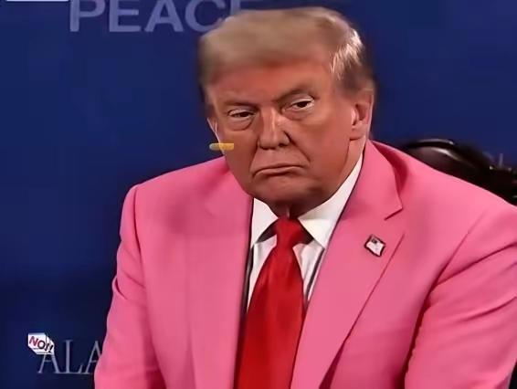 古特雷斯不参加，中国不参加，法国不参加，加拿大不参加，巴西不参加，中亚五国不参加