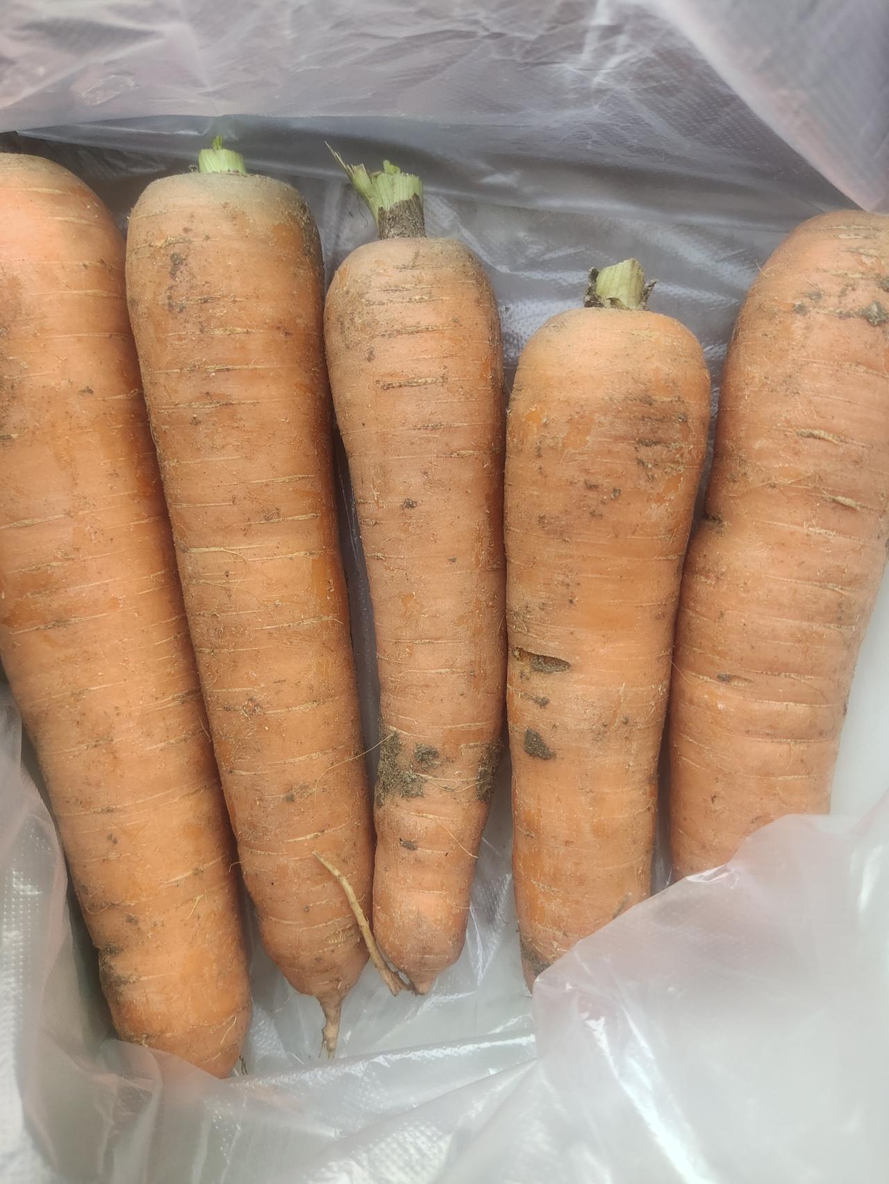 好久没逛早市了，今天去溜达了一圈，收获满满！我买了一把蒜苔2元一斤，土豆2元一斤