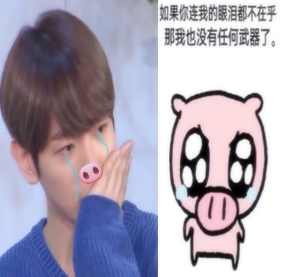 小猪 