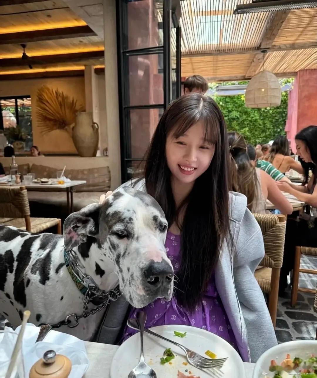 这是怕狗？ ​​​