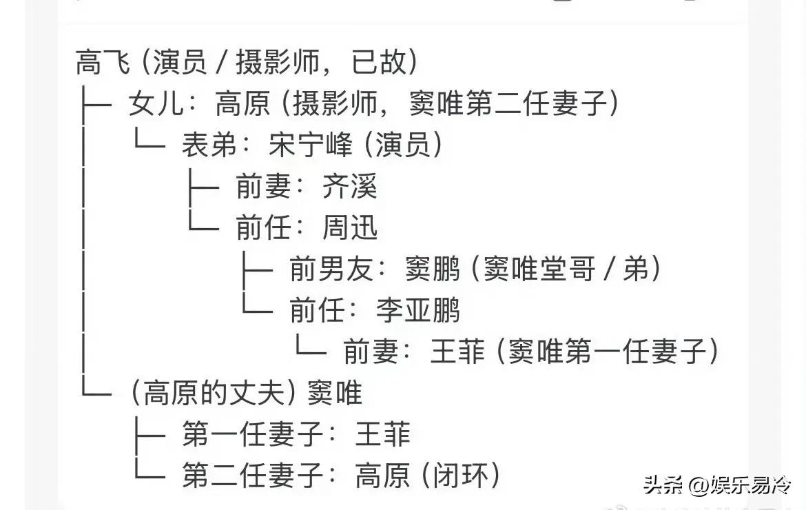 怪不得宋宁峰长相平平无奇却能进娱乐圈，原来他是高原表弟，而高原是窦唯第二任妻子，