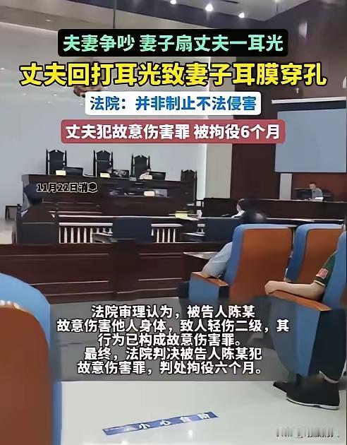 这个案件体现了家庭暴力和法律界限的复杂性，也提醒我们夫妻之间的相处要以理性和宽容